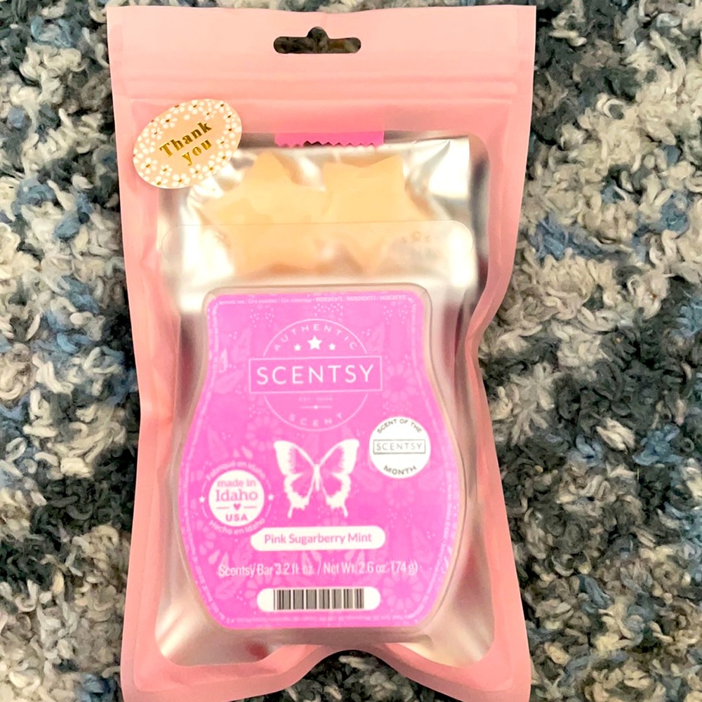 💞mini Pink Sugarberry mint bundle  💞